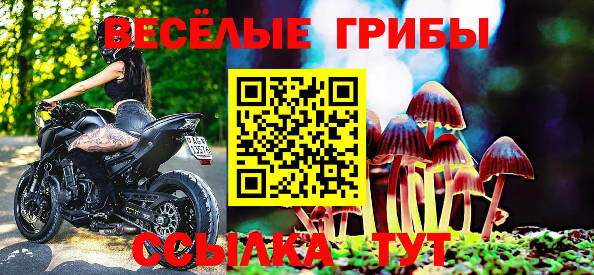 Армавир  Псилоцибиновые грибы мицелий  Вход с VPN 